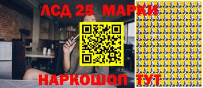гидропоника Жуковский