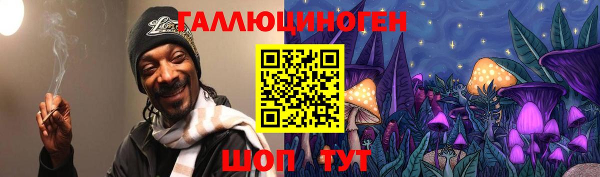 купить наркотики сайты  Вход с VPN  Михайловск  Галлюциногенные грибы Psilocybine cubensis 